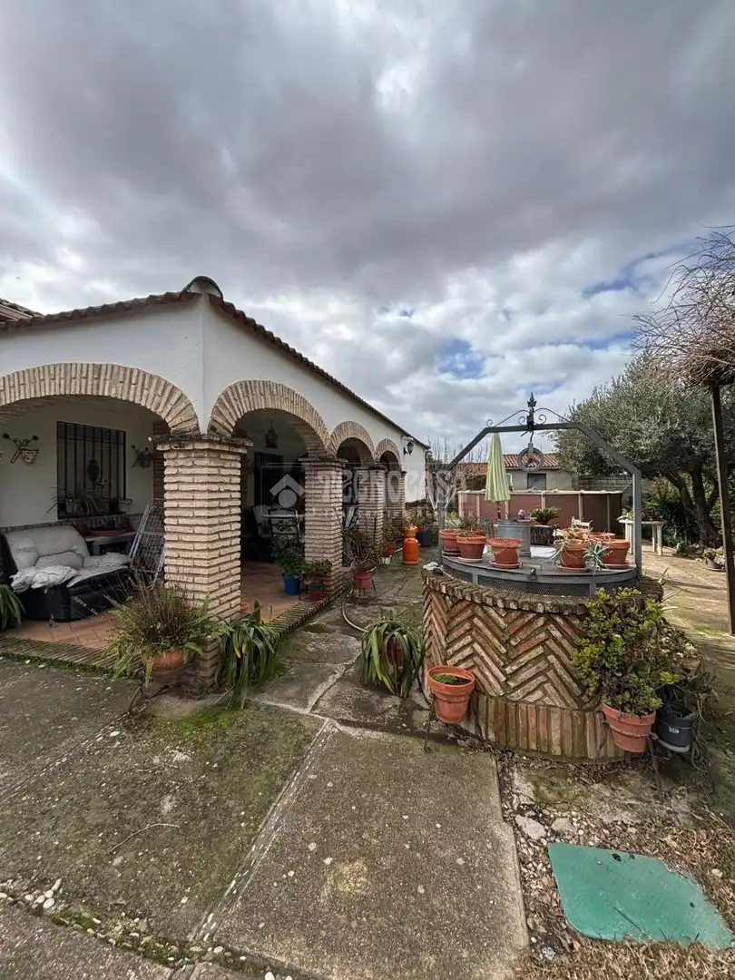Vista exterior de Finca rústica en venta en Córdoba con Aire acondicionado y Amueblado