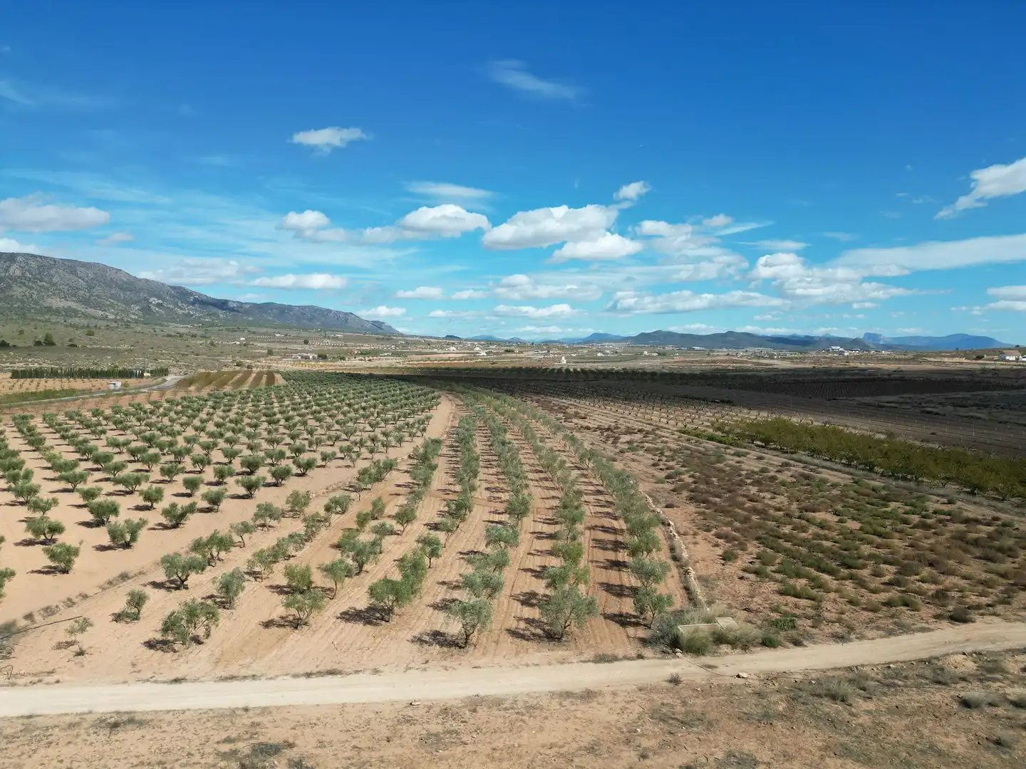 Terreno residencial en venta en El Pinós / Pinoso, imagen 11