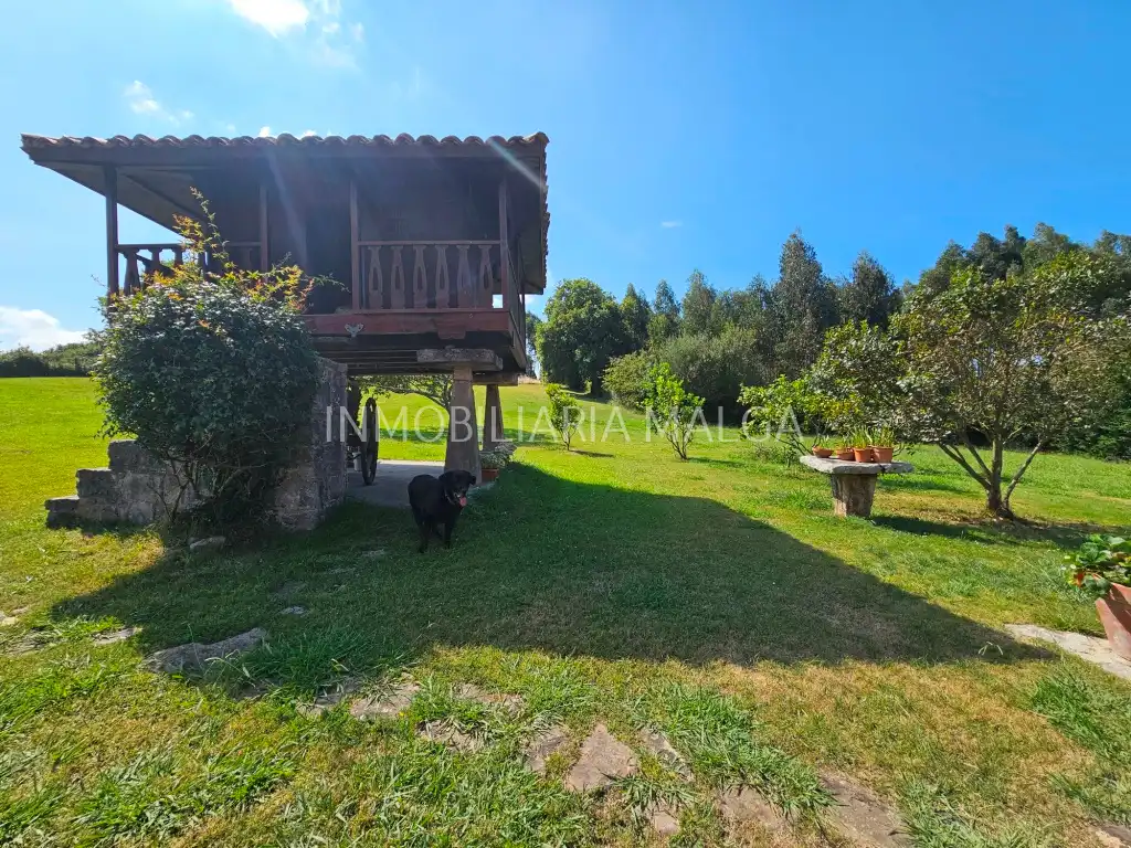 Haus mit Garten zum Verkauf in Barrio Castiellu 1, imagen 30