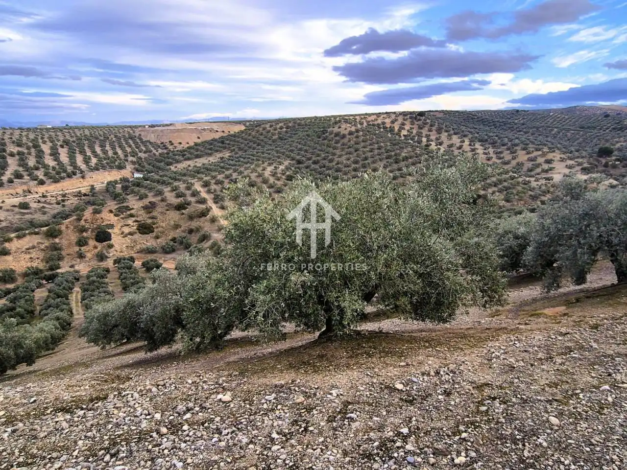 Terreni e lotti in vendita a Huétor Tájar, imagen 16
