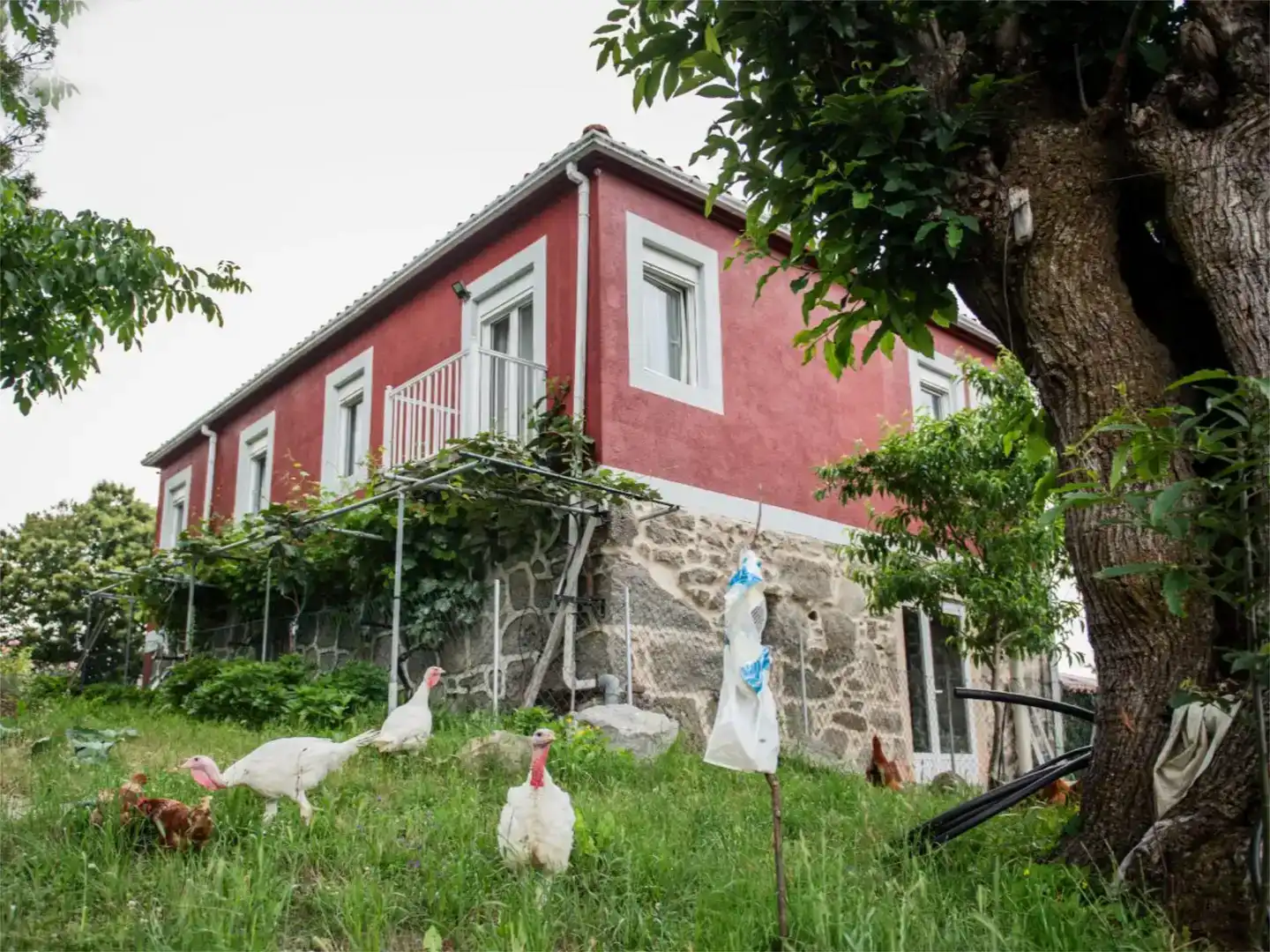 Vista exterior de Casa o xalet en venda en Taboada amb Jardí privat, Parquet i Traster