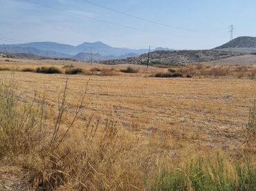 Terrain rustique à vendre à Mula
