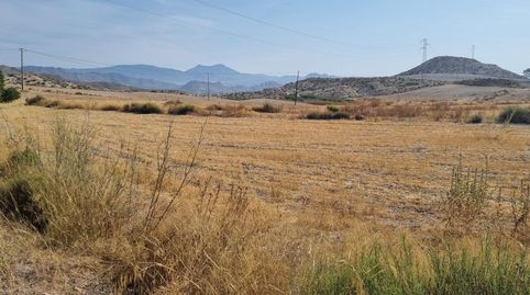 Magnífica Finca Rústica en Venta  Carretera de Mula Ojos