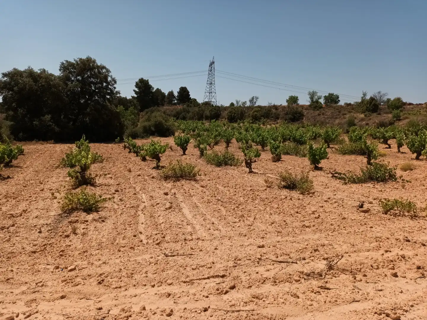 Residencial en venta en Pasaje Hoya Huesos, Venta del Moro