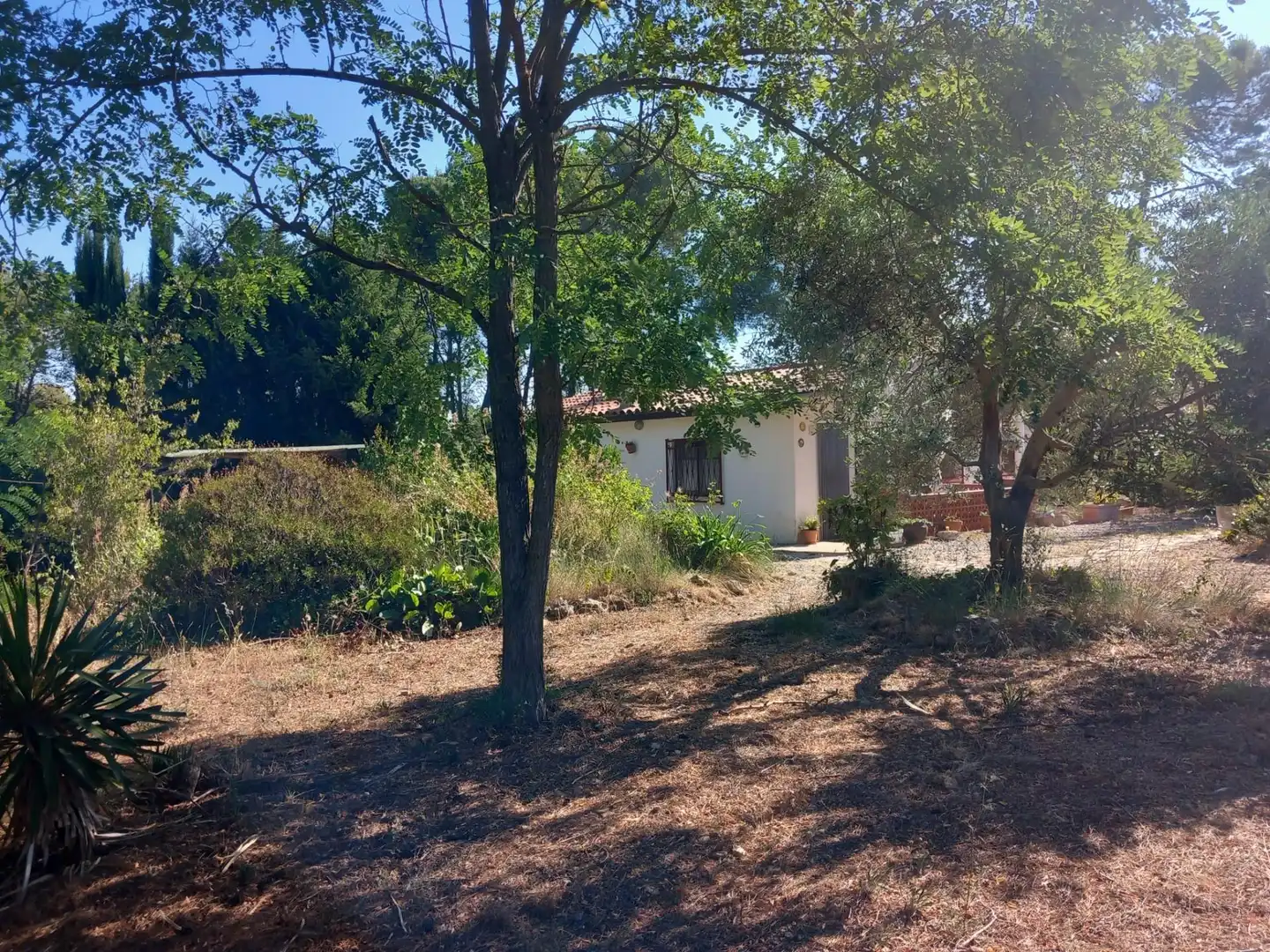 House with garden for sale in Torrelles de Foix, imagen 44