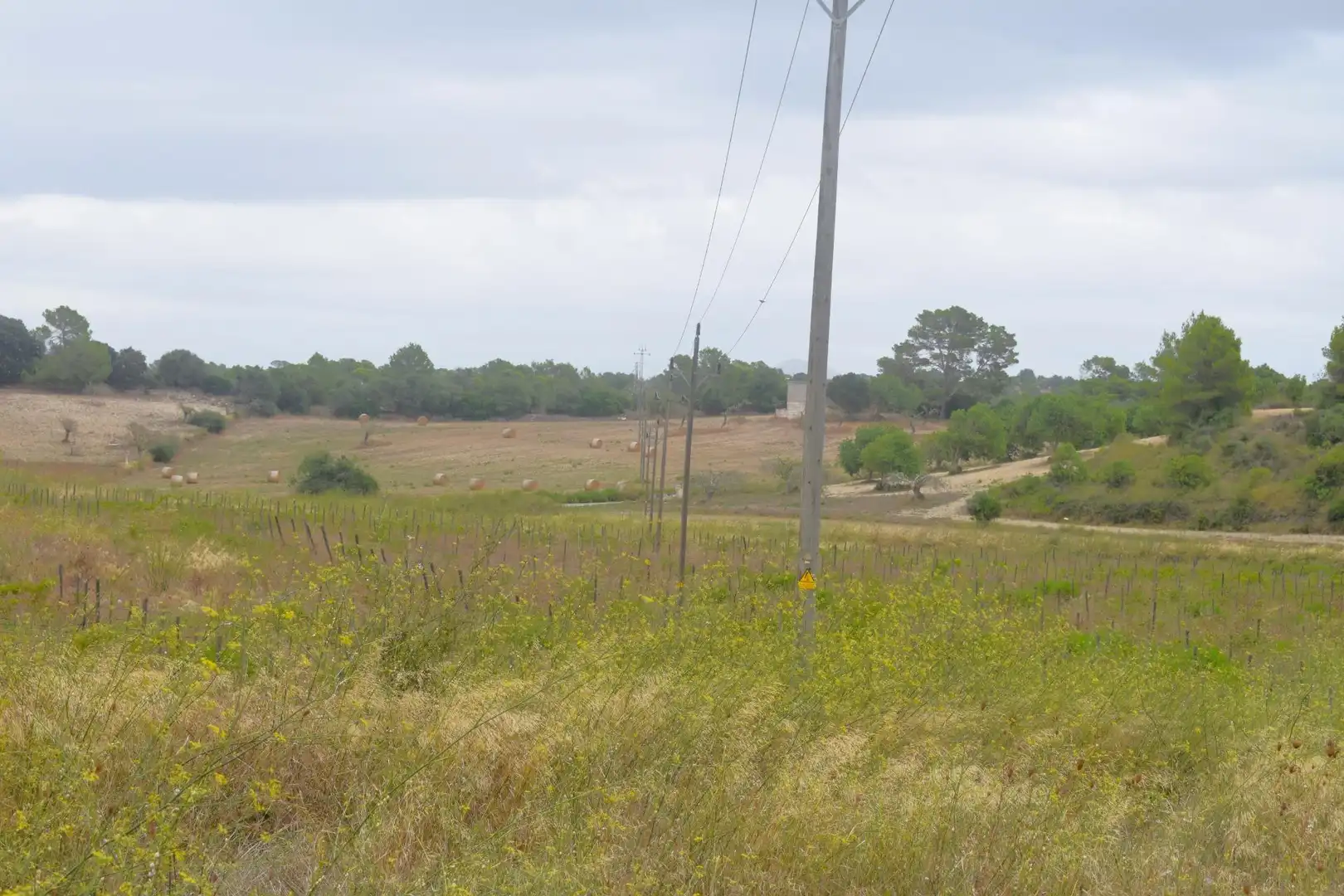 Residential land for sale in Santa Margalida Poble, imagen 23