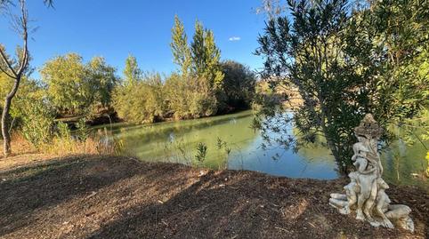 Photo 2 of House or chalet for sale in El Perchel, Ciudad Real