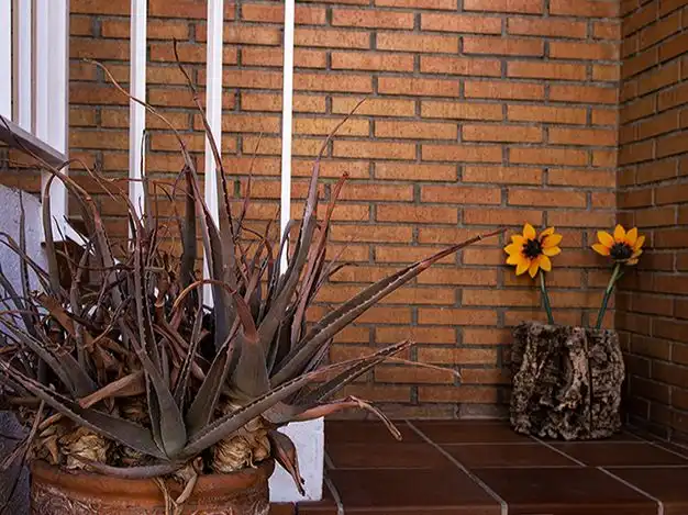 Habitatge amb jardí en venda a Avenida Luis Miranda Dávalos 4, imagen 44