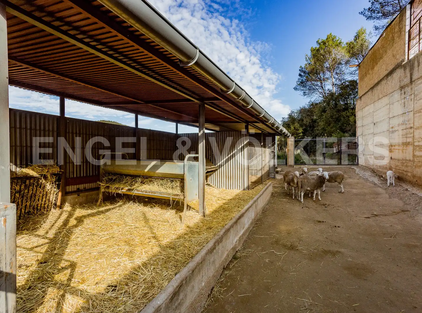 Casa amb terrassa en venda a Torrelles de Llobregat, imagen 22