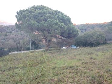 Wohnbaugrundstück zum Verkauf in Llinars del Vallès
