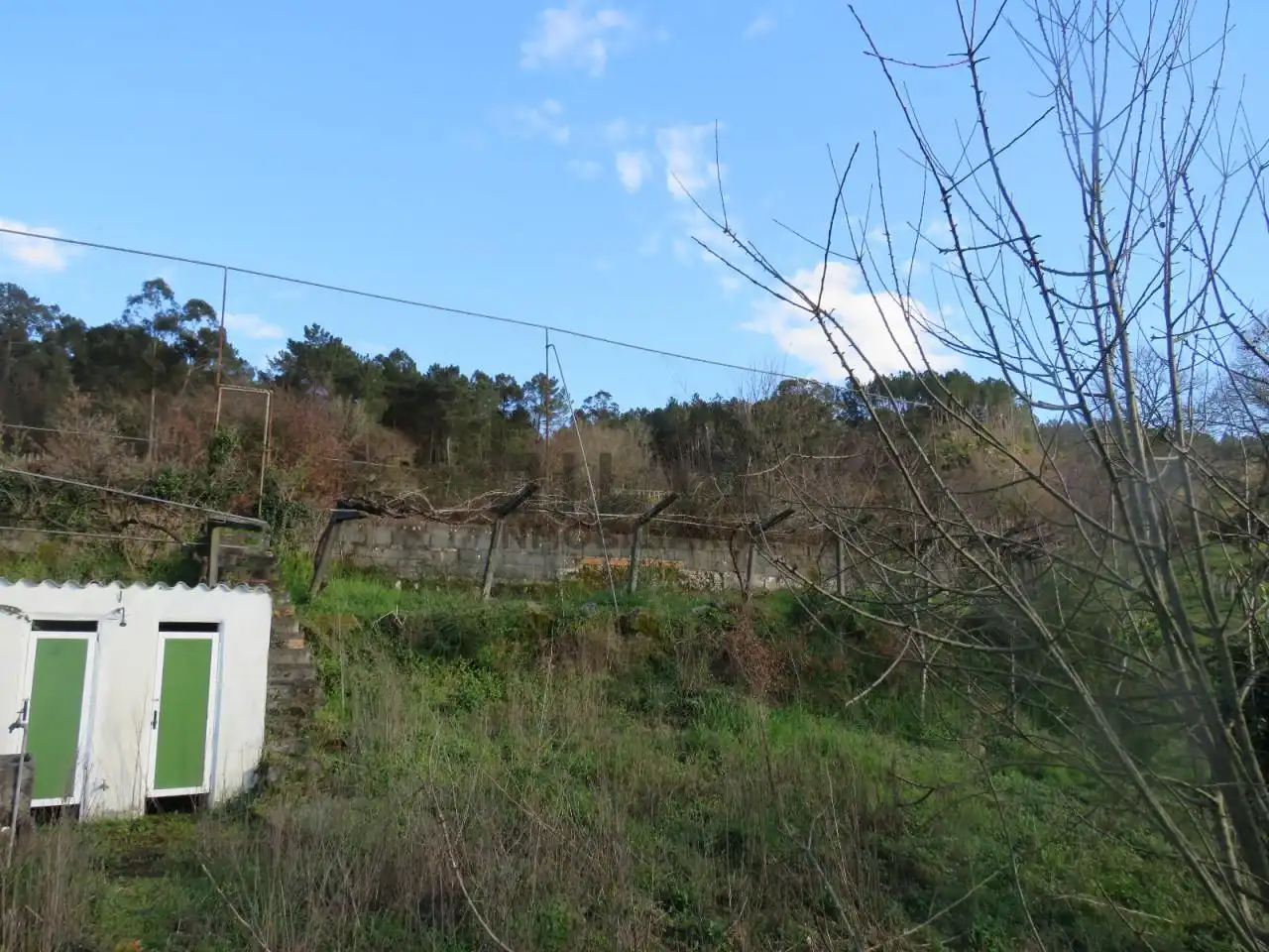 Casa o chalet en venta en San Amaro