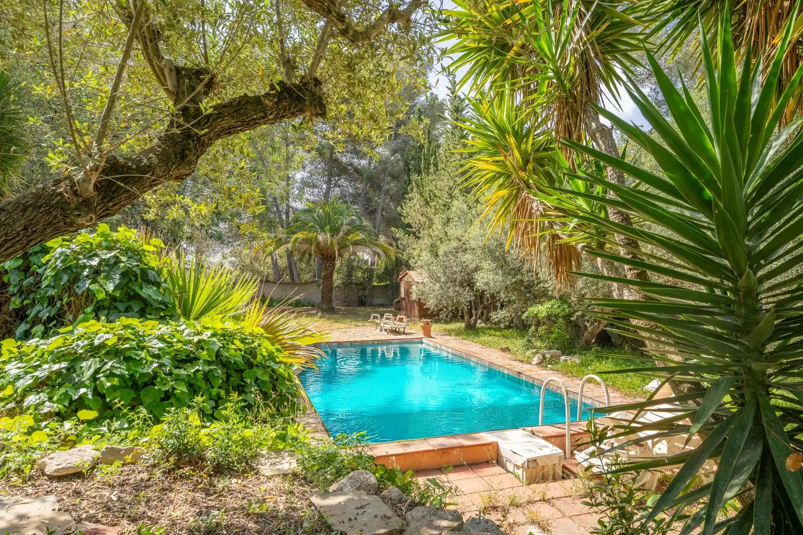 Villa avec piscine à vendre à MUNTANYA OLIVA-I, imagen 3