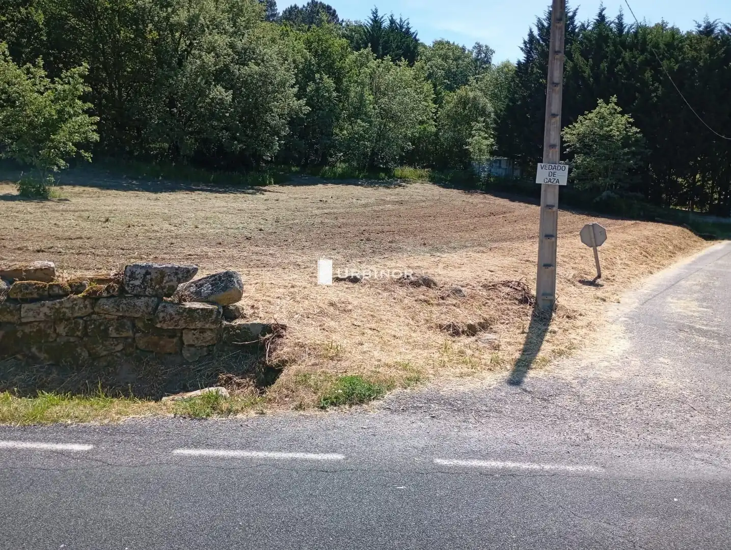 Terreni e lotti in vendita a O Pereiro de Aguiar, imagen 6