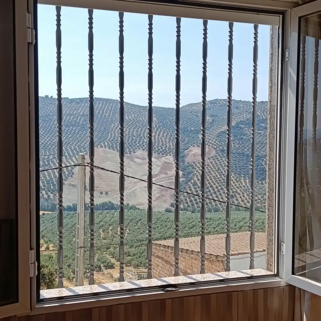 Vista exterior de Finca rústica en venta en Iznájar con Aire acondicionado, Calefacción y Jardín privado