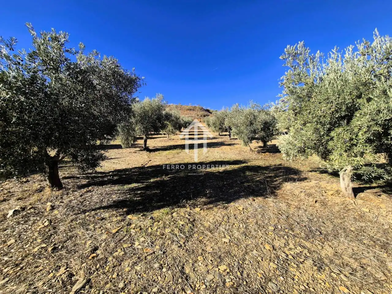 Lands and plots for sale in Lanteira, imagen 12