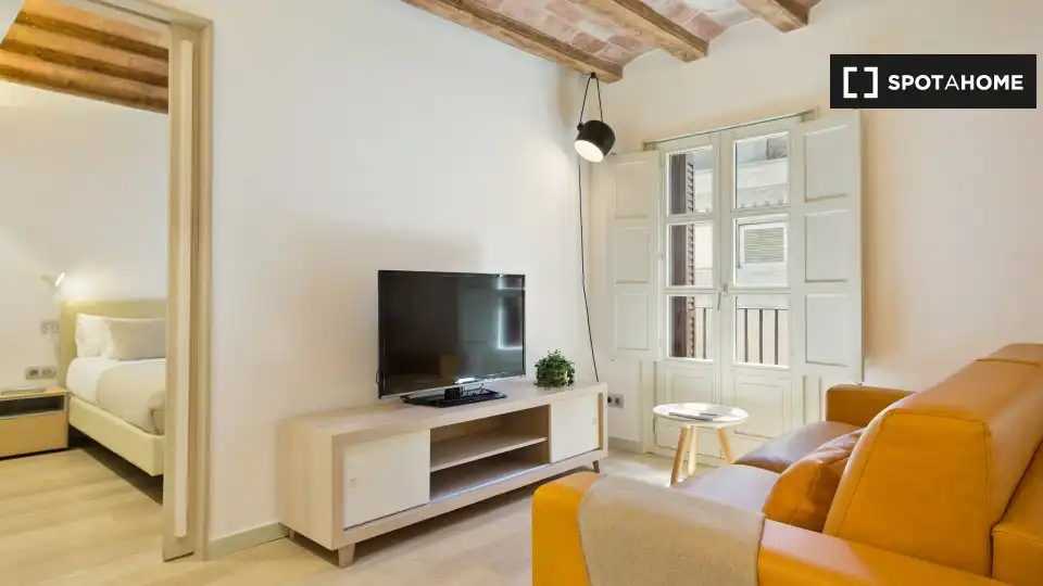 Flat with terrace to rent in Ciutat Vella, imagen 4