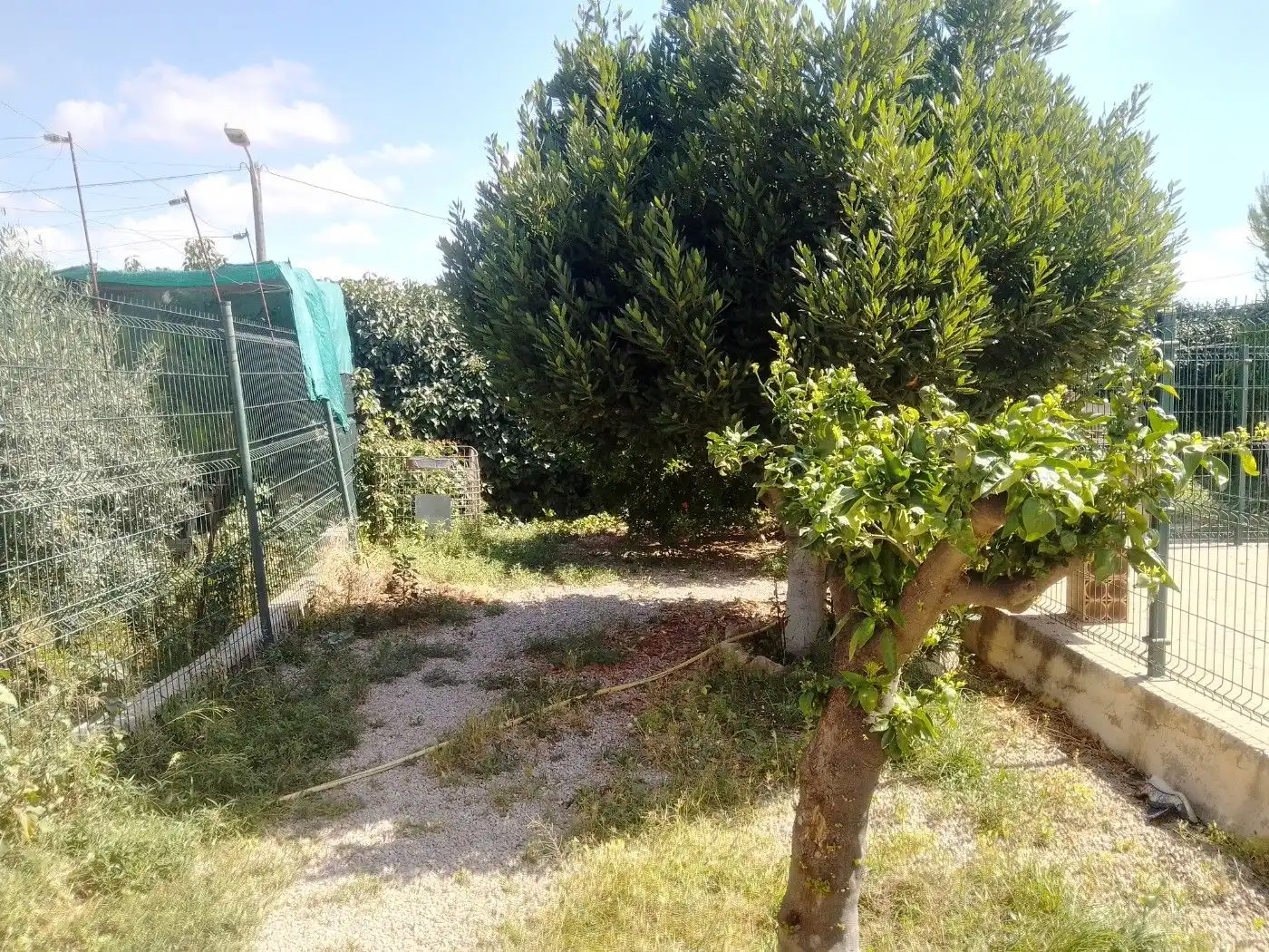 Casa o xalet en venda en Torre-Pacheco amb Terrassa, Traster i Piscina