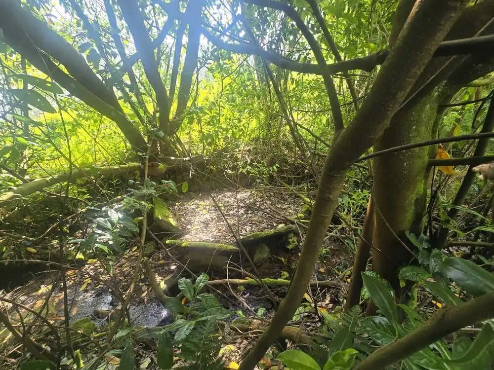 Casa rústica en venda a Cerdido, imagen 23