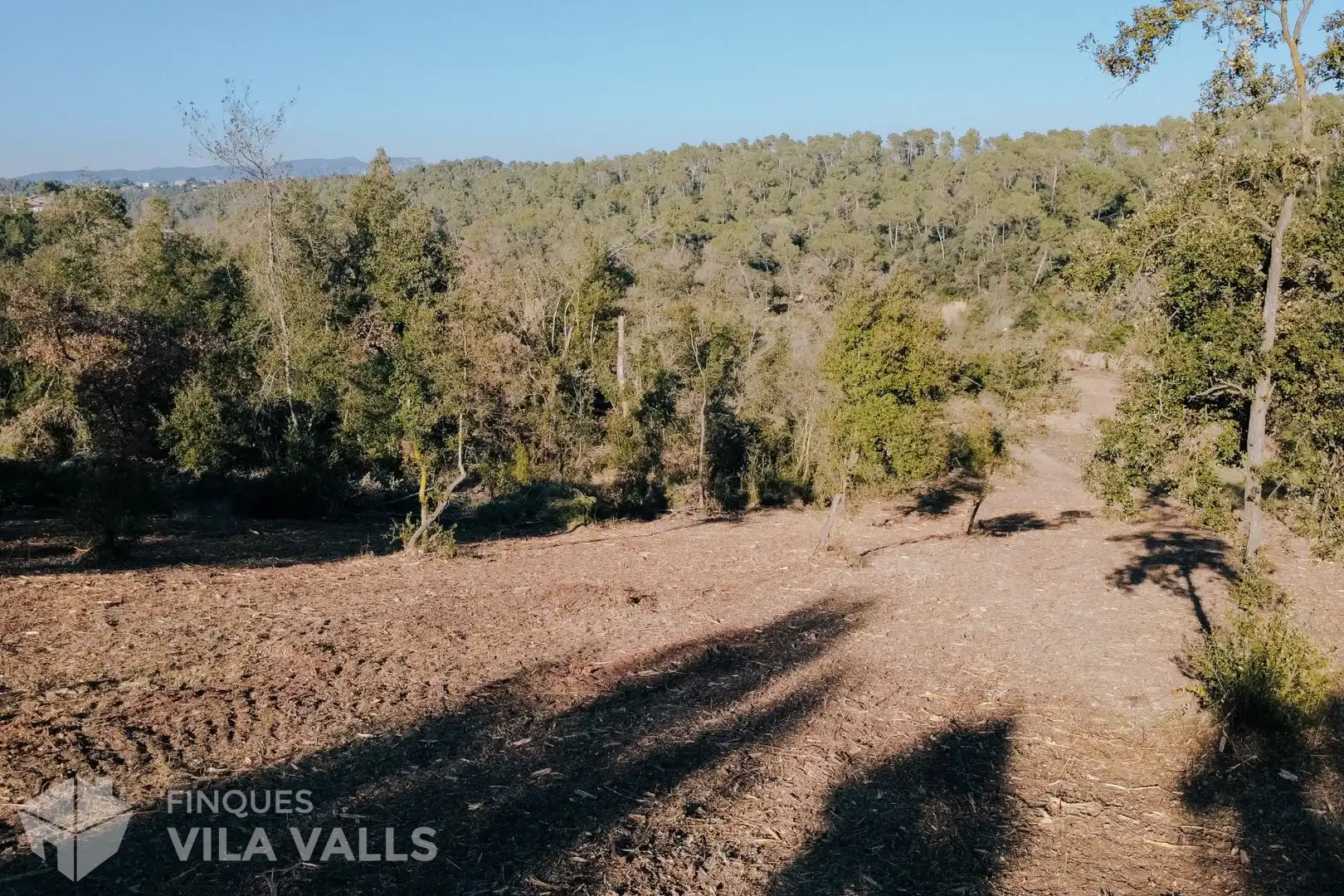 Lands and plots for sale in Calle Palaudaries, imagen 4