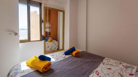 Foto 3 de Estudio en venta en Rincón Alto, Benidorm