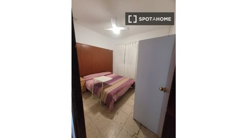 Foto 5 de Habitación en La Plata, Sevilla Capital