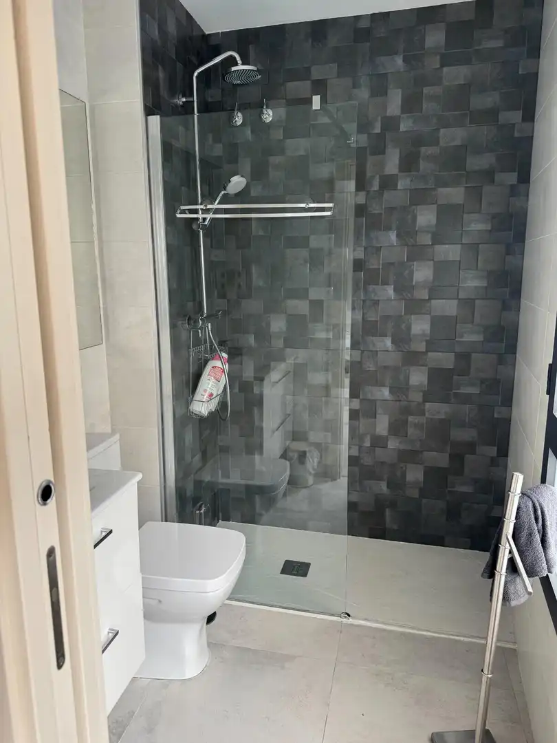 Bathroom of Apartments for rent in Málaga  with Air Conditioner, Heating and Furnished