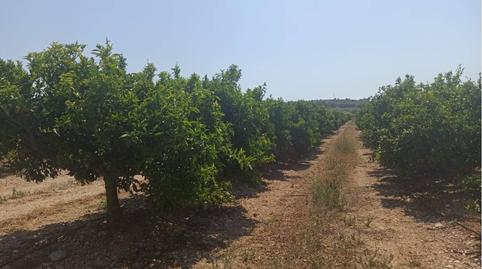 Photo 2 of Land for sale in Poligono Poligono 58 Parcela 56, Centro Comercial - Capsades -  Hospital, Vinaròs