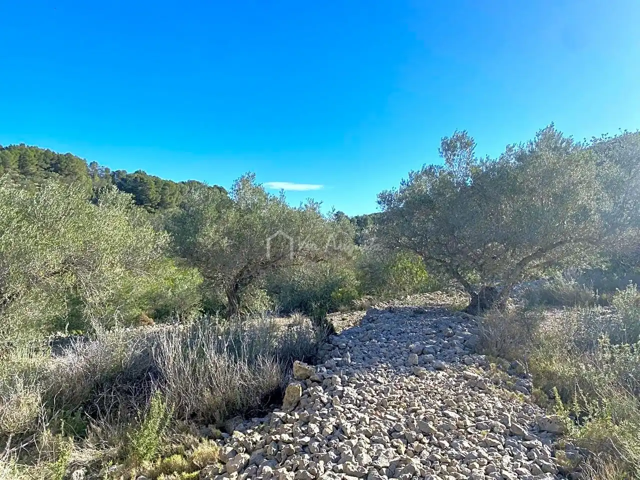 Terreno rustico in vendita a Aubachs, imagen 19