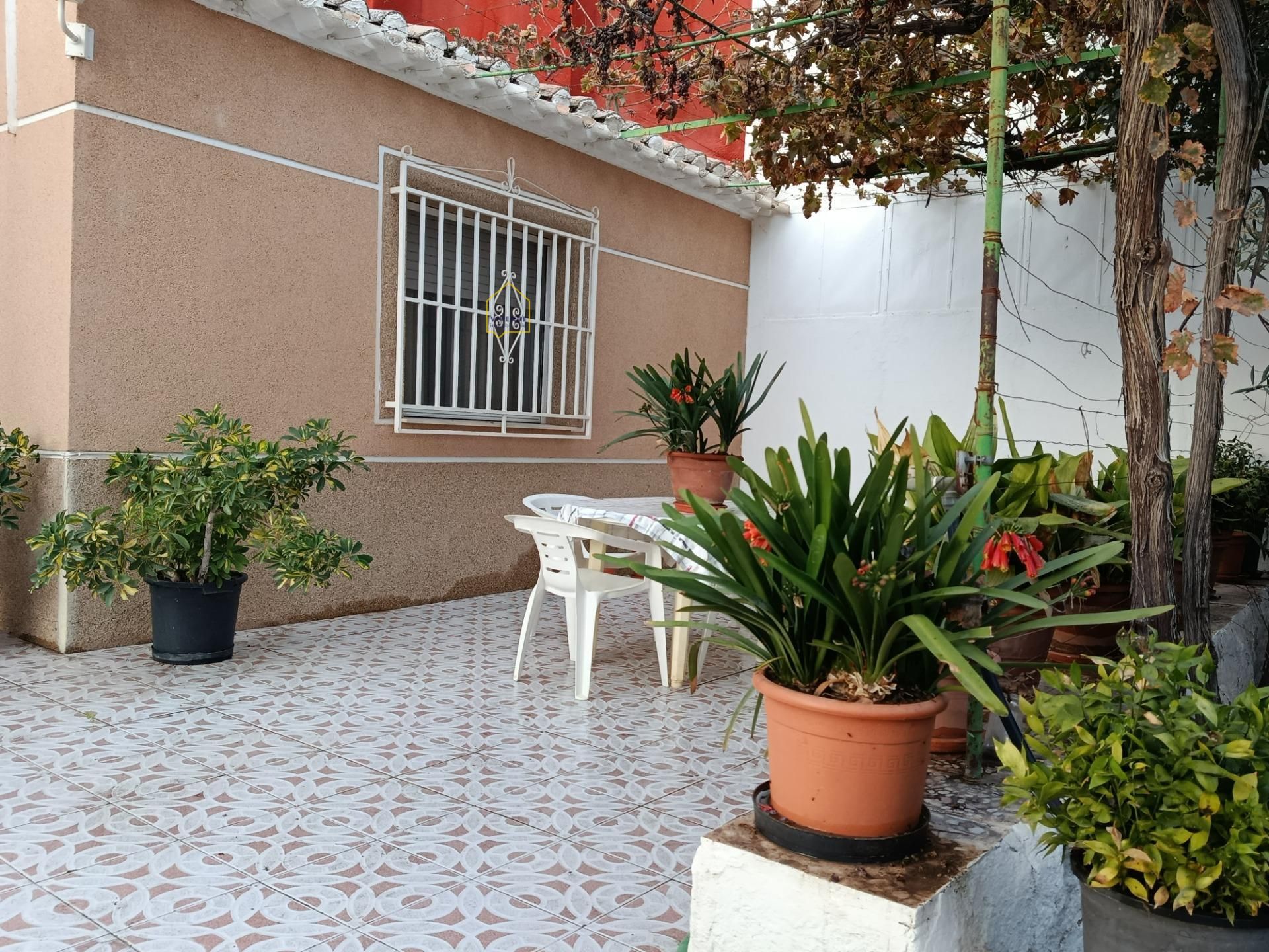 Garden of House or chalet for sale in Lorca  with Private garden, Terrace and Storage room