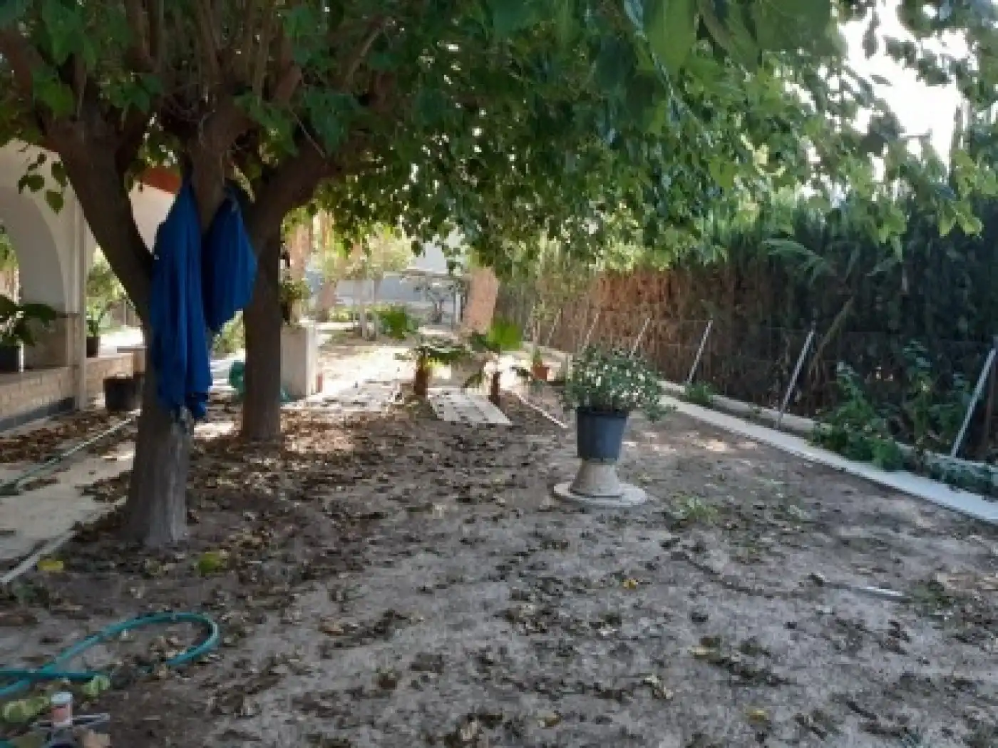 Casa o chalet en venta en Novelda