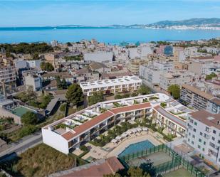 Carrer de Joan Daurer, 6, El Coll d'en Rabassa, Platja de Palma, Palma de Mallorca