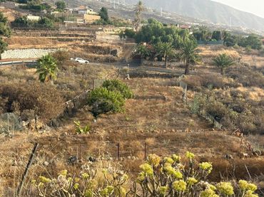 Terreny rústic en venda a Arafo
