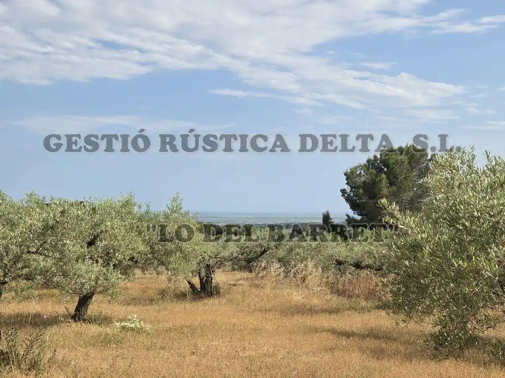 Finca rústica en venda en El Perelló
