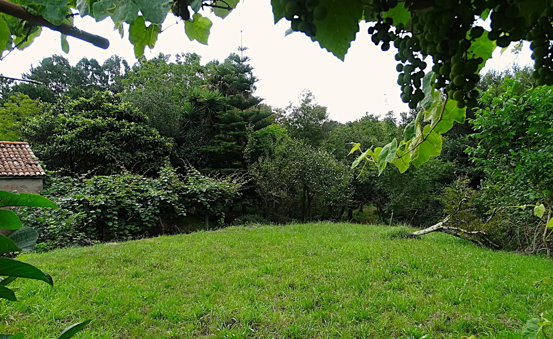 Finca rústica en venda en Narón amb Calefacció, Jardí privat i Parquet
