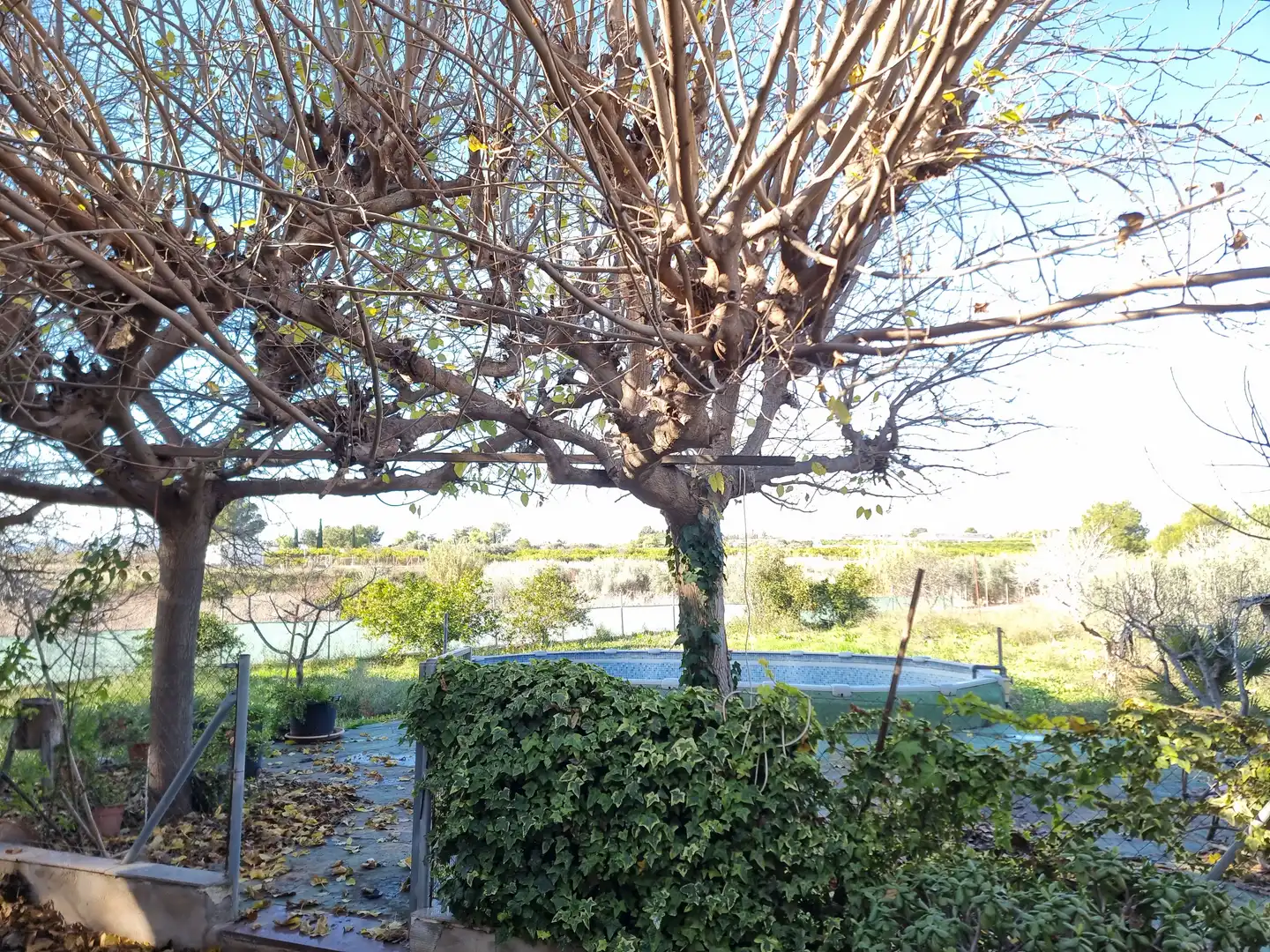 Jardí de Casa o xalet en venda en Las Torres de Cotillas amb Aire condicionat, Calefacció i Piscina