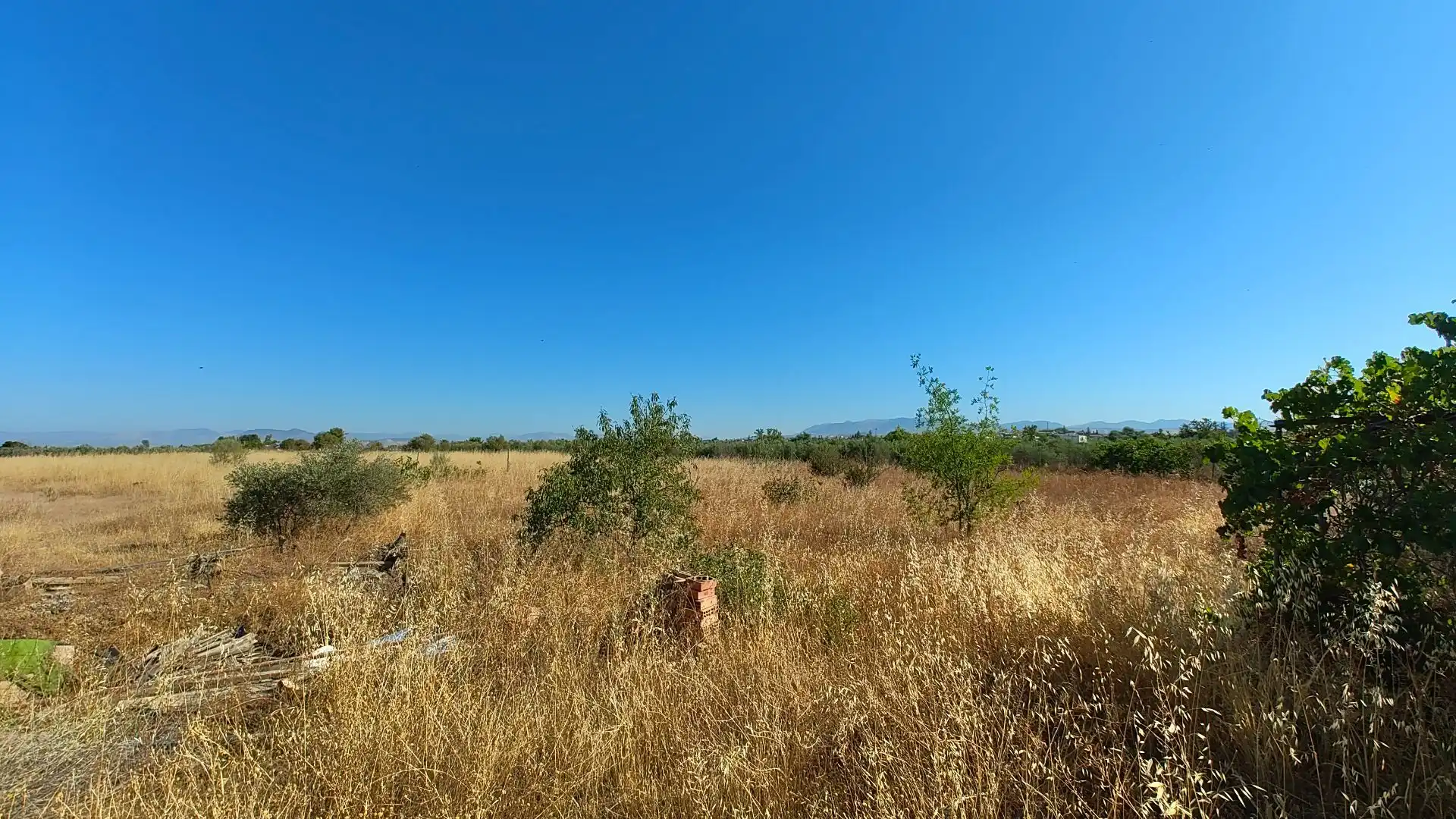 Terreno rustico in vendita a Aljancira, imagen 28