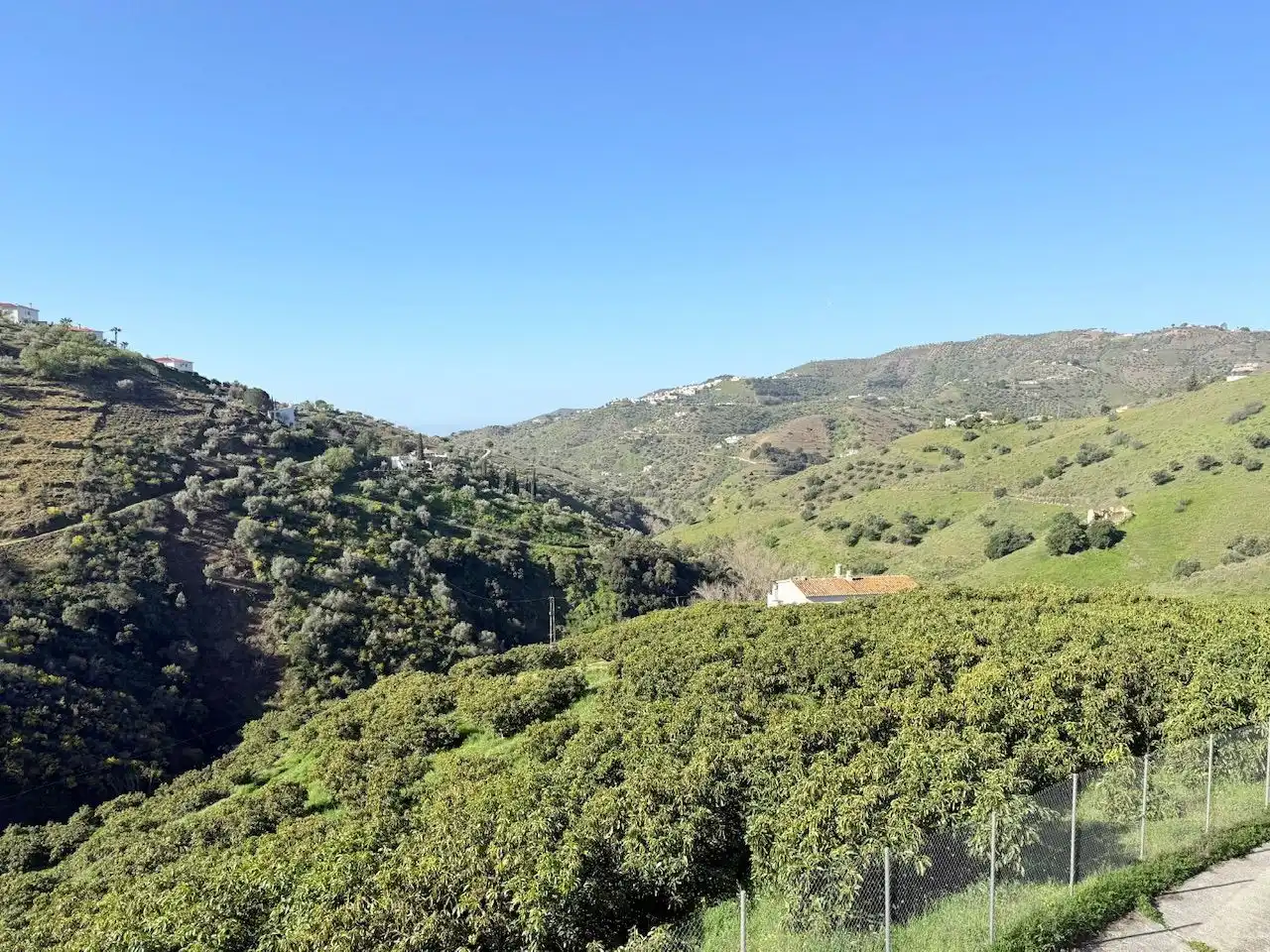 Land for sale in Canillas de Albaida