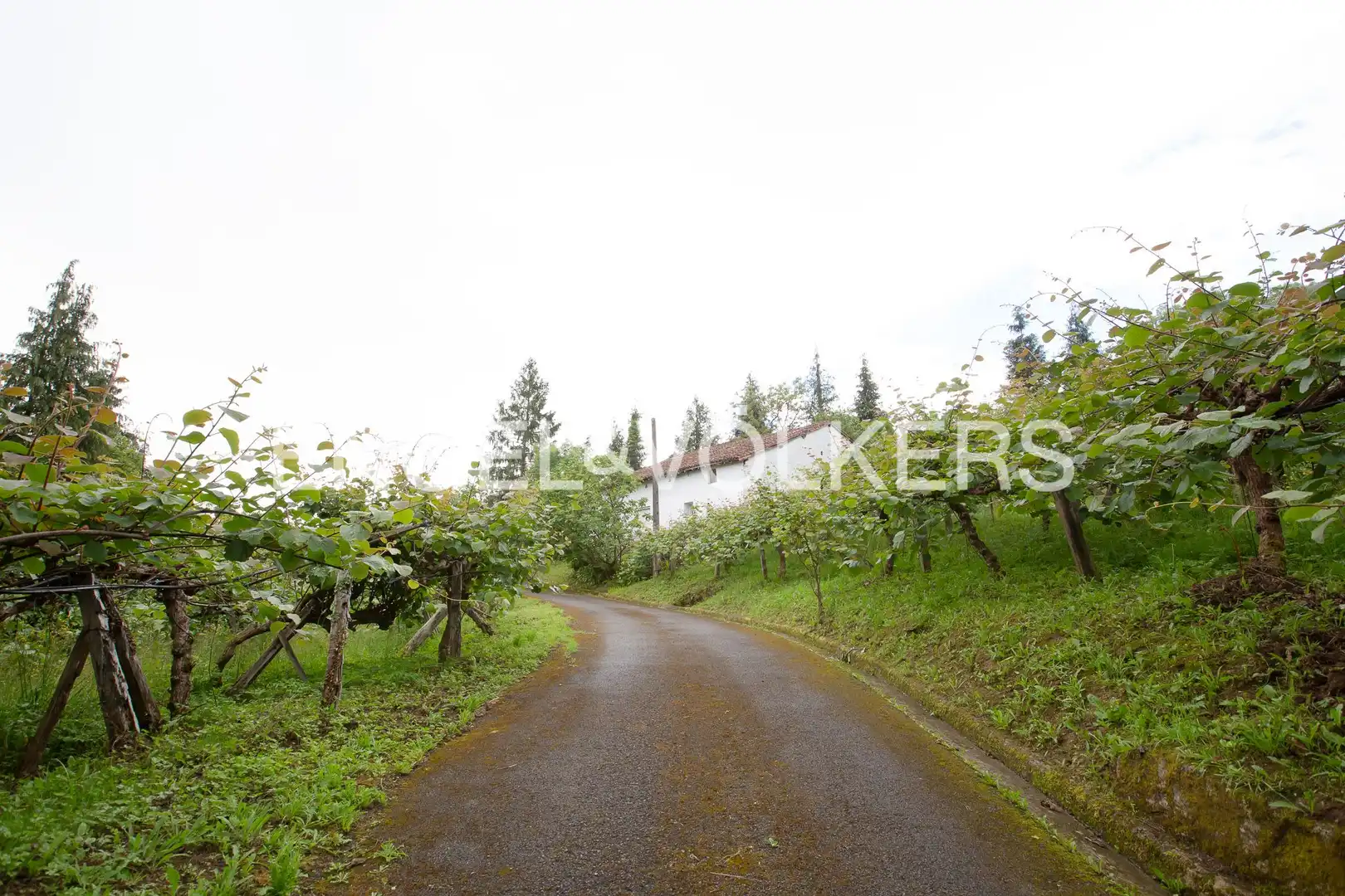 Exterior view of Houses for sale in Gernika-Lumo  with Heating, Private garden and Balcony