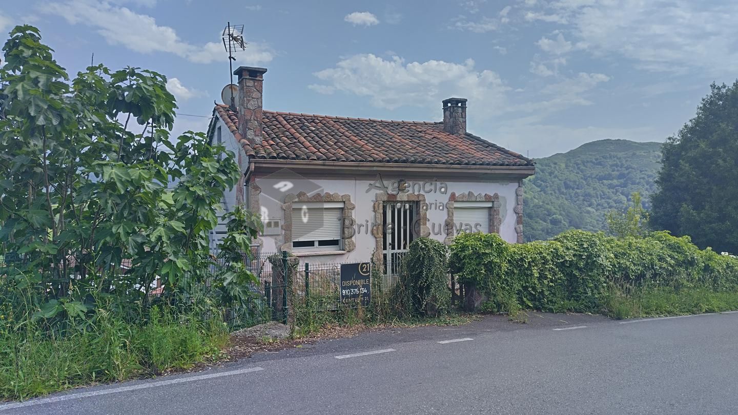 Exterior view of House or chalet for sale in Bimenes  with Private garden
