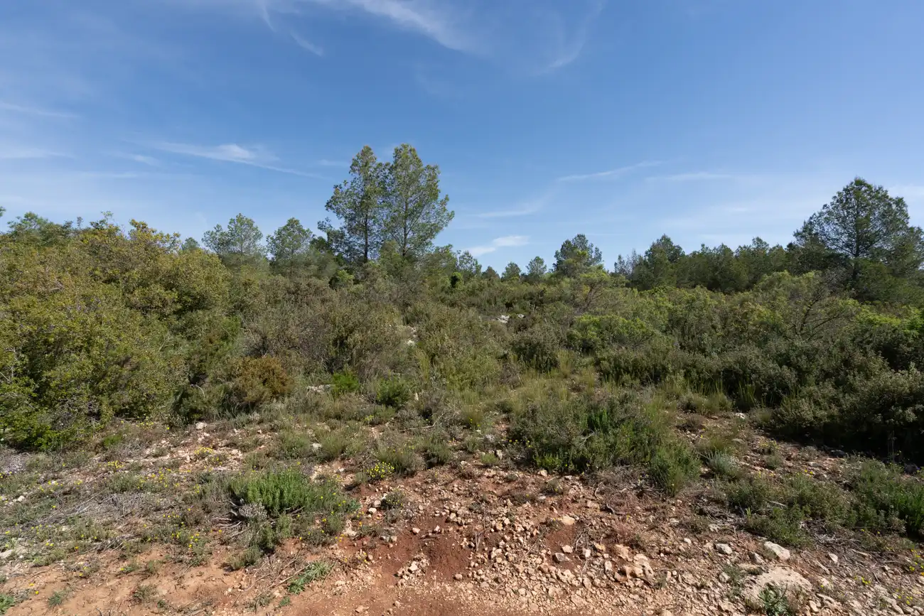 Maison rustique avec jardin à vendre à CV-590 41, imagen 46