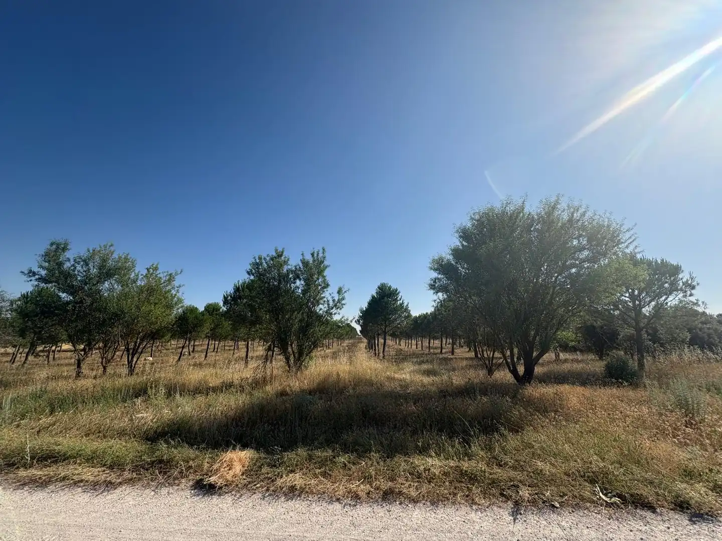 Terreno en venta en Cogeces del Monte