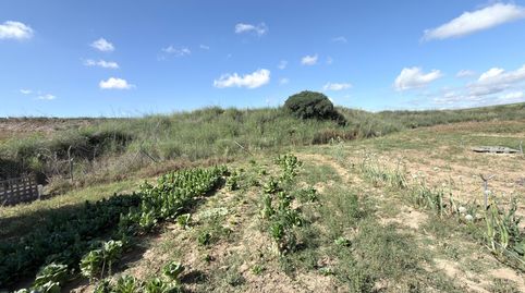 Foto 5 de Finca rústica en venda a La Orden, Huelva Capital
