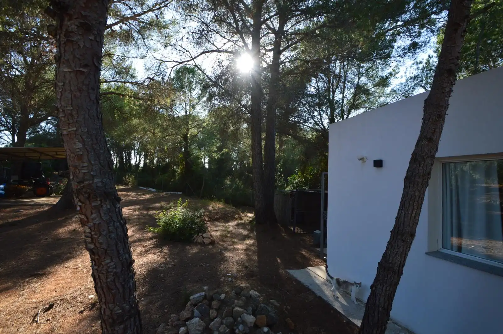 Detached house with terrace for sale in San Jorge / Sant Jordi, imagen 57