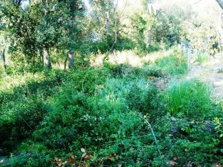 Residential for sale in Santa Maria de Palautordera