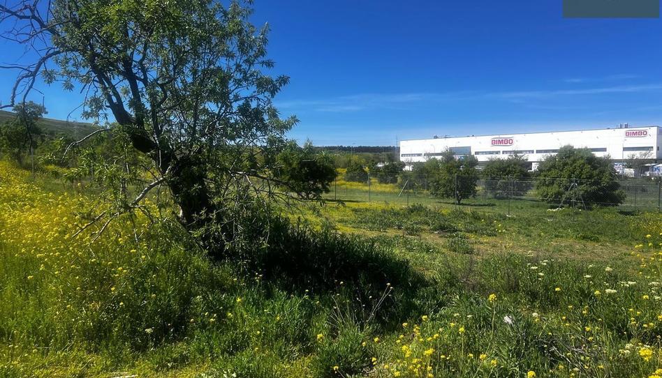 Foto 1 de Residencial en venta en Los Berrocales, Madrid