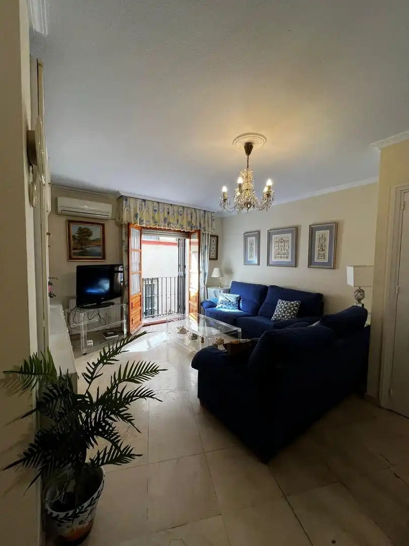Living room of Flat for sale in Sevilla  with Air Conditioner, Heating and Storage room