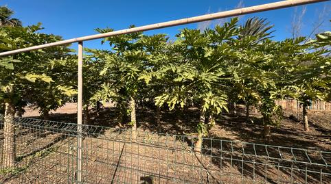 Photo 3 of Country house for sale in N/a, La Lajita, Las Palmas