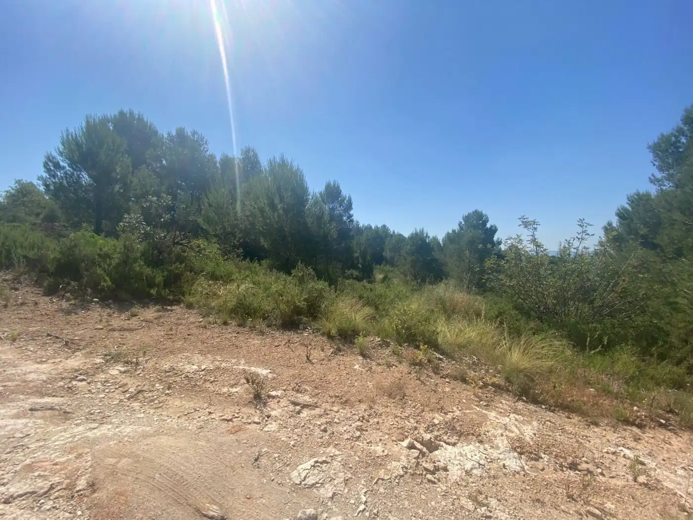 Terreno rustico in vendita a POLÍGONO 10 PARCELA 493, imagen 18