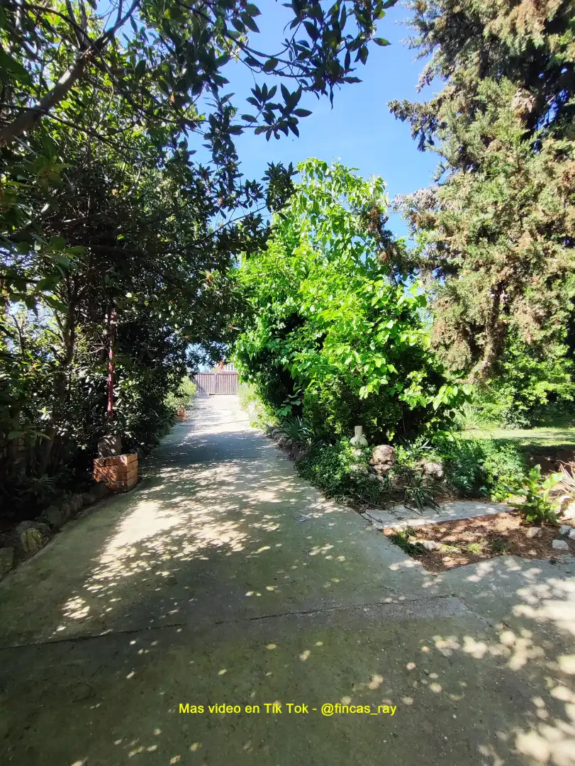 Terreno residenziale in vendita a Torrelles de Foix, imagen 19
