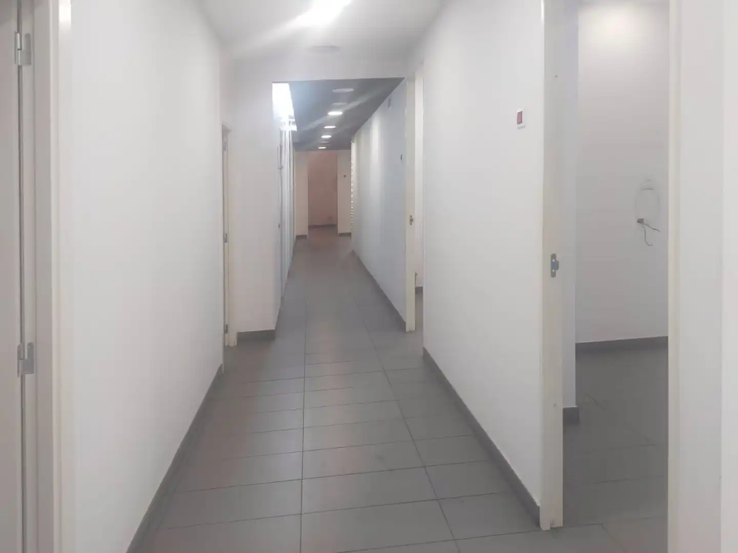 Ufficio in affitto a Elche ciudad, imagen 14
